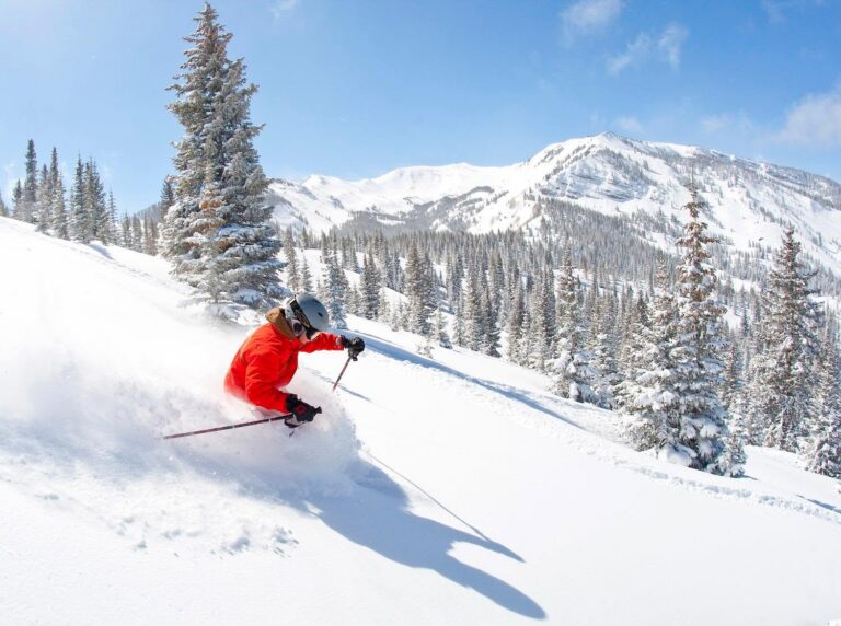 A skier gracefully descends a snowy slope, surrounded by tall trees in the background.